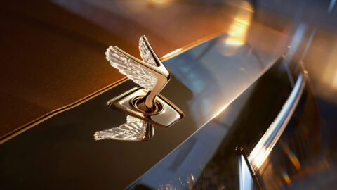 Close-up of the Voyah Dream 9's illuminated retractable hood ornament in its raised position.