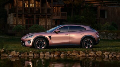 Pink Luxeed RX shown in side profile beside a pond and wooden buildings.