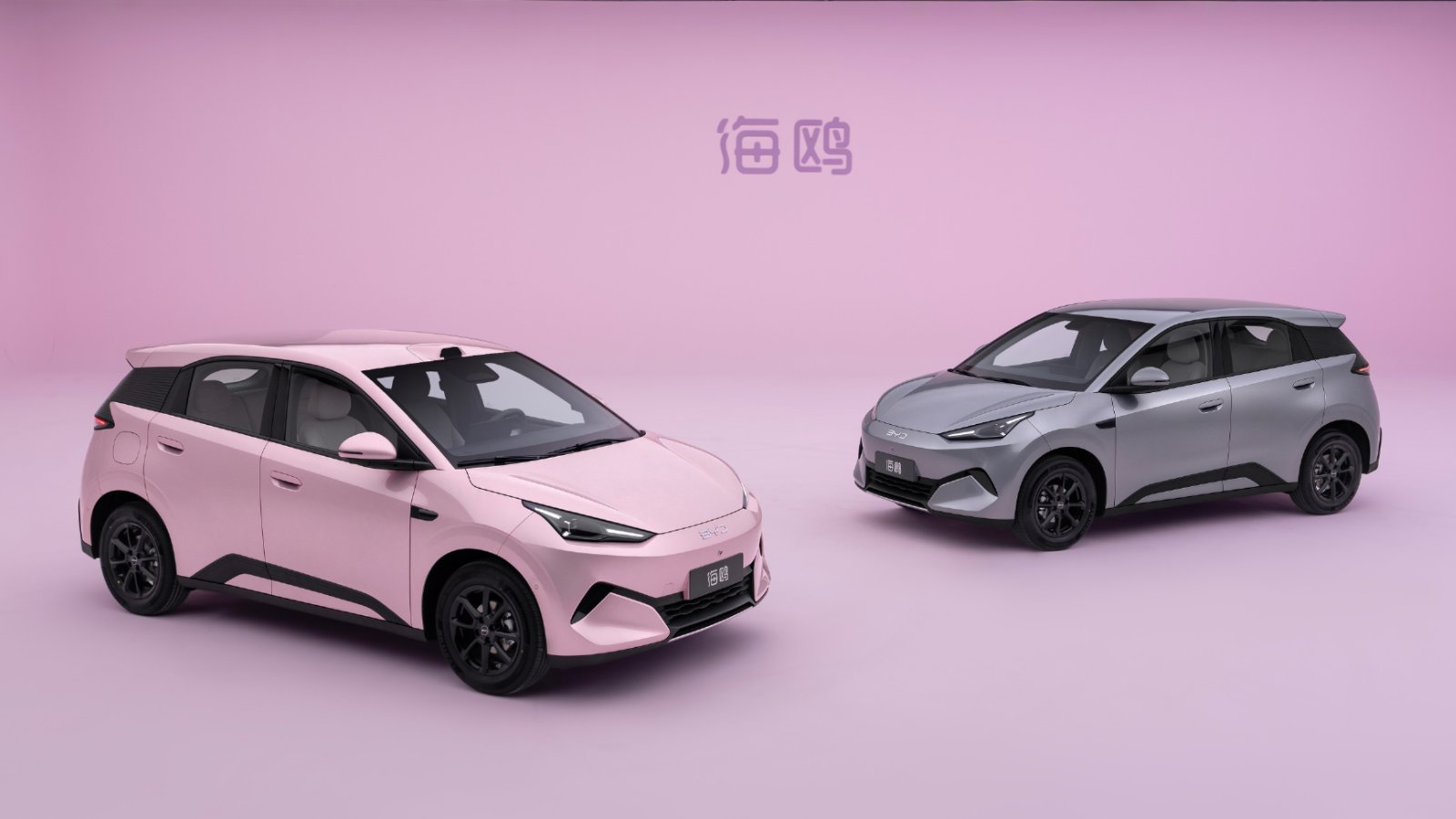 Pink and gray second-generation BYD Seagull electric hatchbacks shown from front three-quarter angles against a pink background.