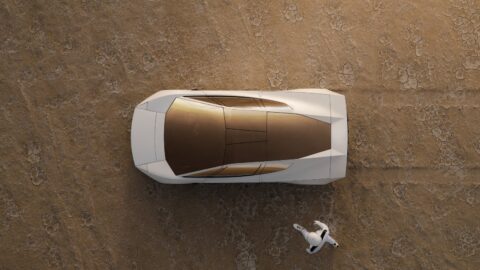 Overhead view of the Tesla Roadster on dry ground, showing its gold-tinted canopy and a person nearby.