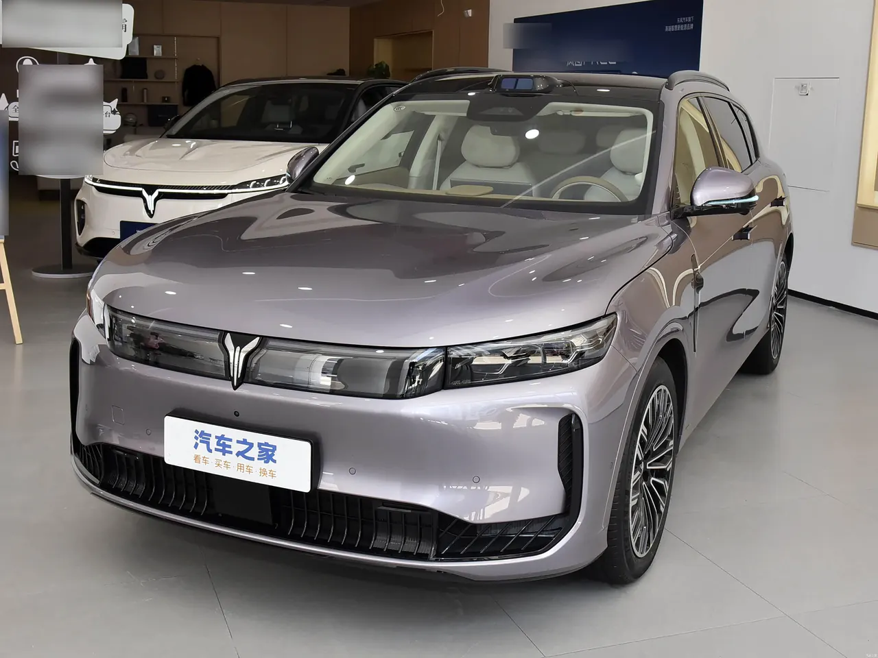 Voyah FREE 2025 FREE Rear Drive Dry Kun Edition - View 1