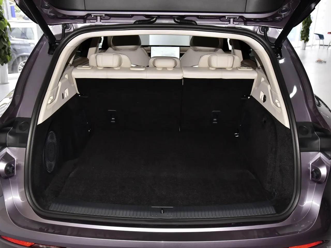 Voyah FREE 2025 FREE Rear Drive Dry Kun Edition 11