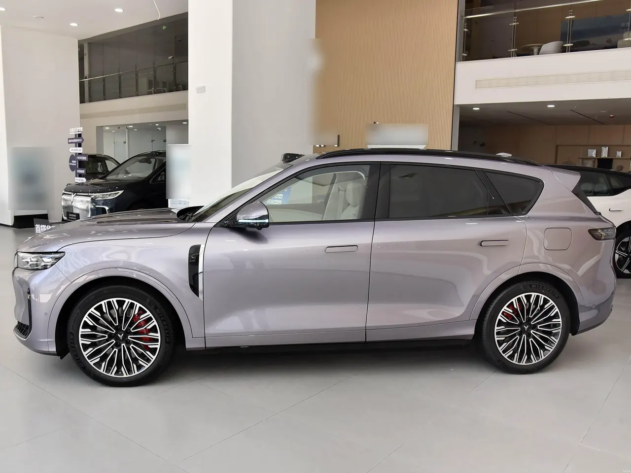 Voyah FREE 2025 FREE Rear Drive Dry Kun Edition 4