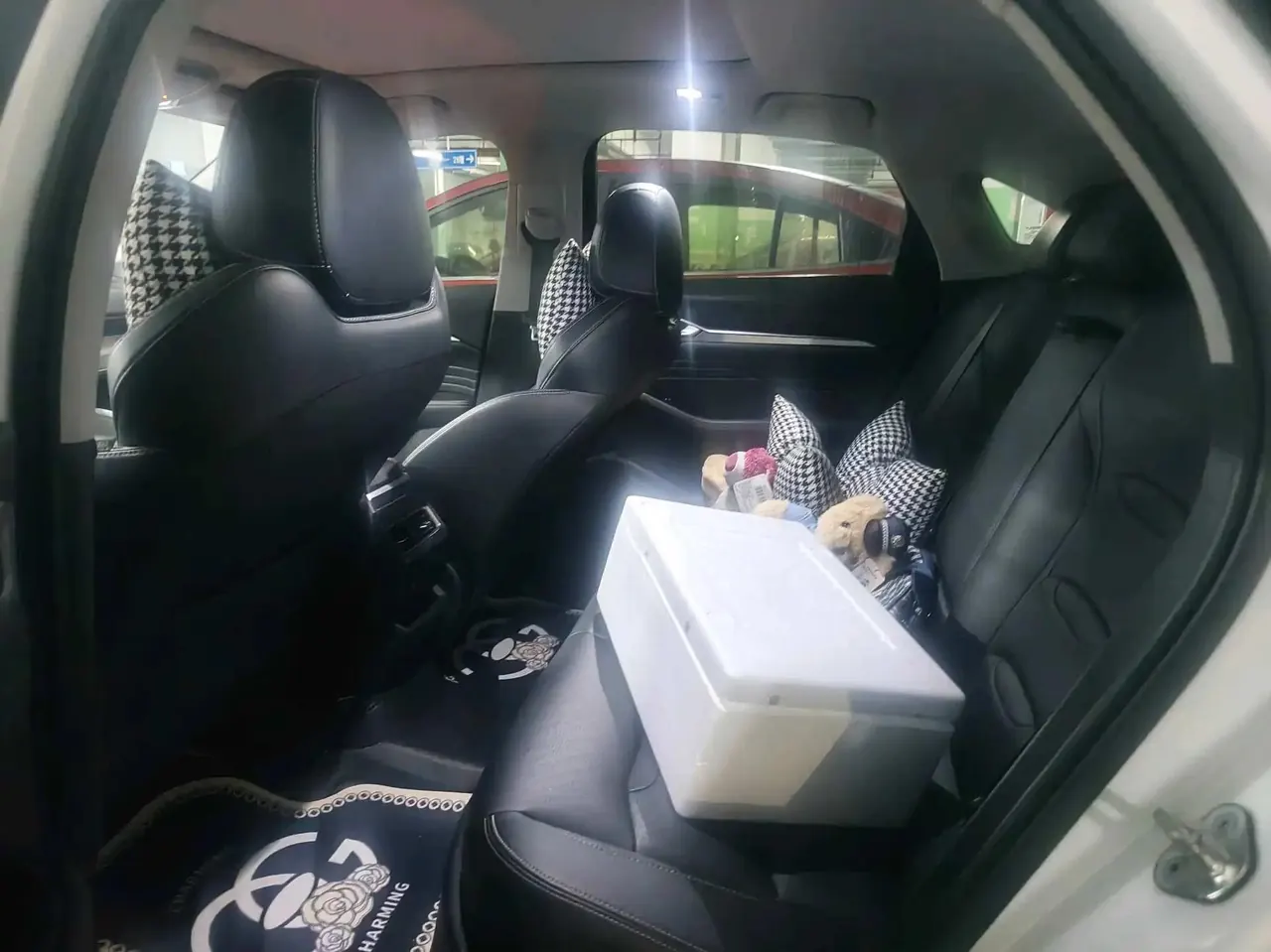Xingrui 2021 model changed to 2.0TD noble model 3