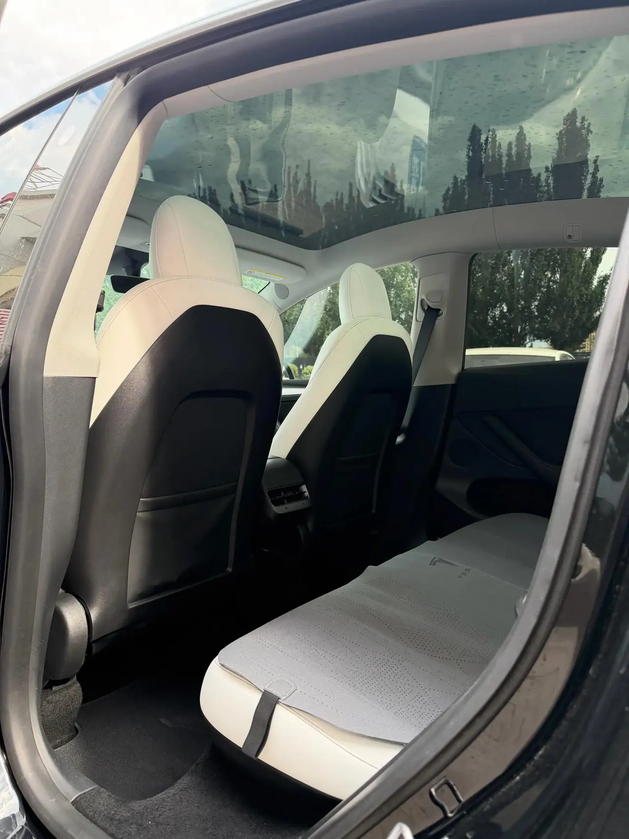 2021 Model Y Standard Range Rear-Wheel Drive Edition 6