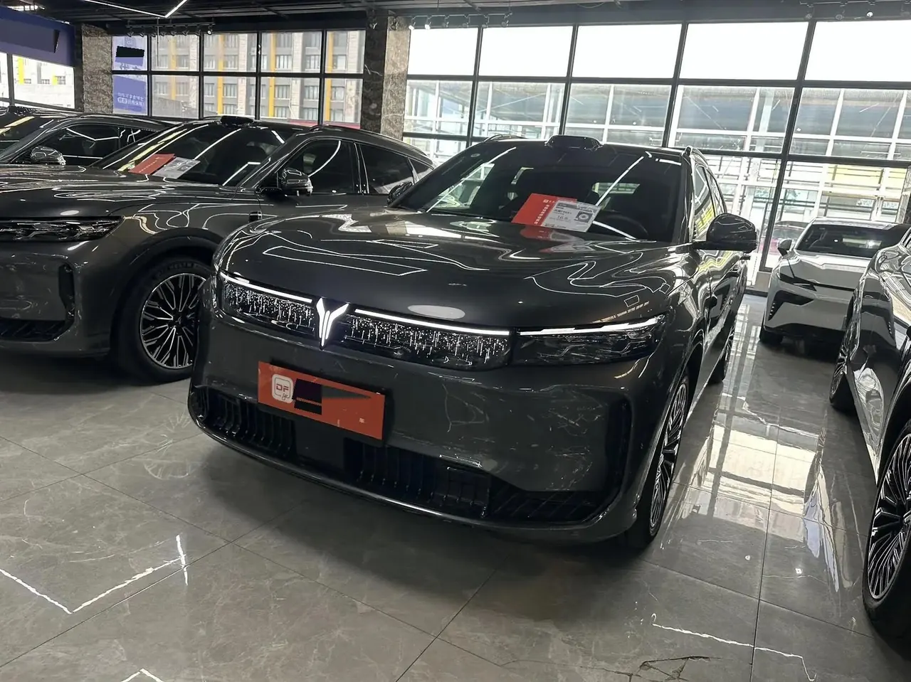 Voyah 2025 FREE Rear Drive Dry Kun Edition Automatic Gear 2