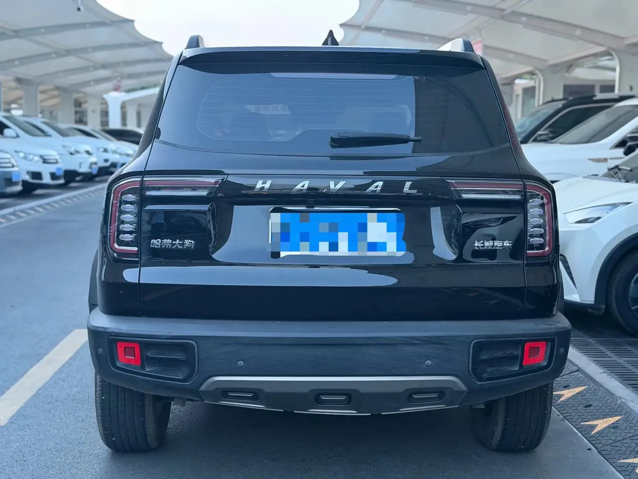 Haval Big Dog 2022 1.5T DCT Two-Drive Border Pastoral Edition 4