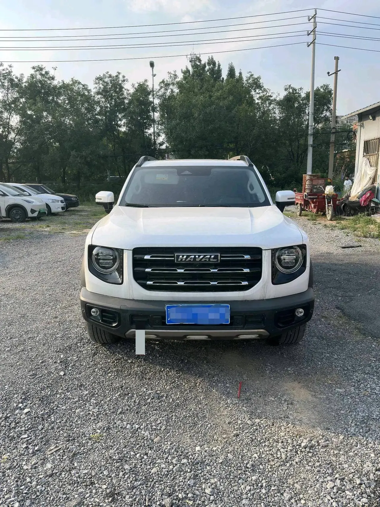 Haval Big Dog 2021 1.5T DCT Two-Wheel-Drive Border Collie Edition 4