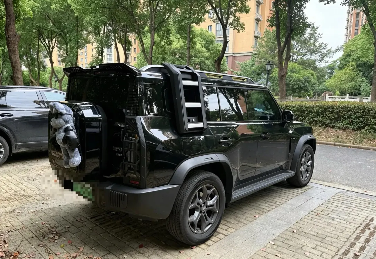 Jetour ShanHai T2 2024 C- DM 129KM Forest Edition 4