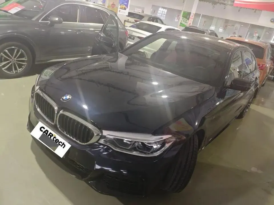 Open image lightbox: BMW 5 Series 2020 model 530Li Luxury Edition M Sport Package