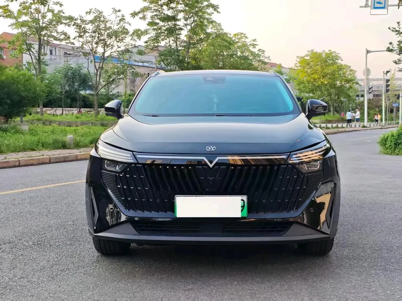Venucia Big V DD-i Super Hybrid 2023 110km iT Edition 2