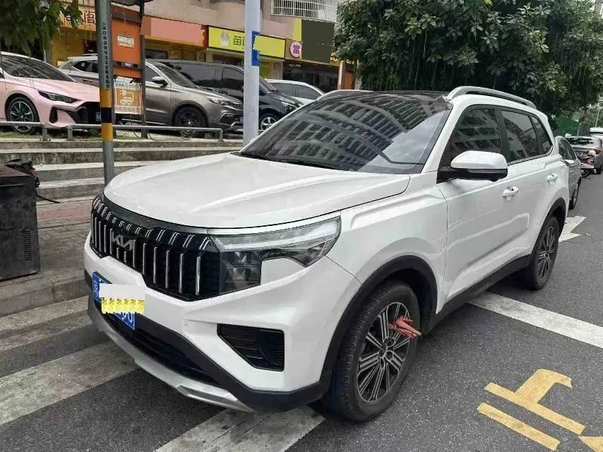 Open image lightbox: Smart Run 2021 Ace 2.0L Wonderful Edition