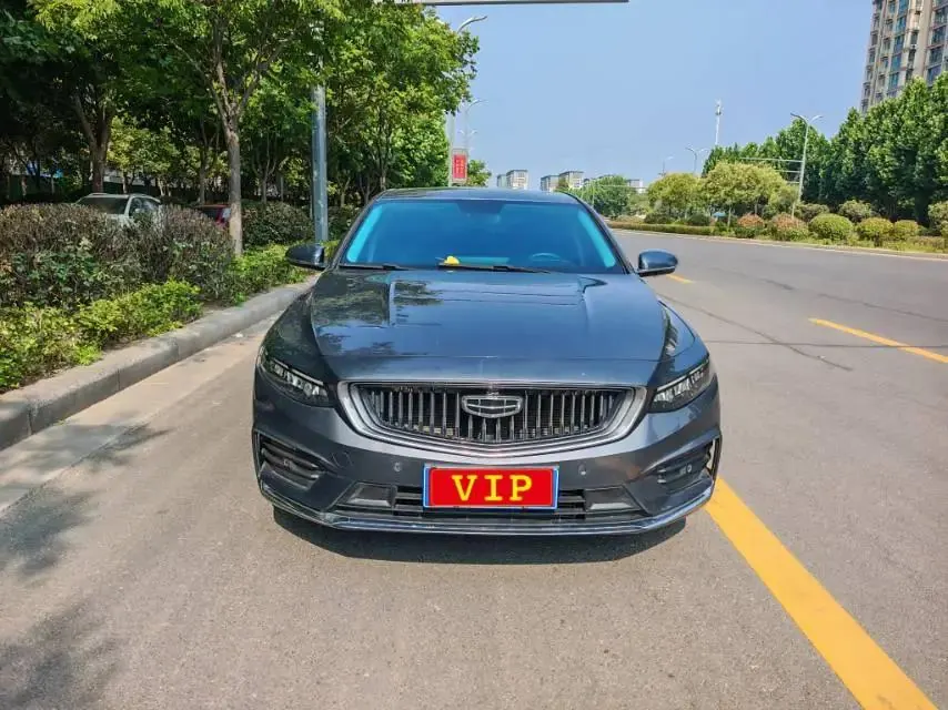 Xingrui 2021 2.0TD Luxury Model 2