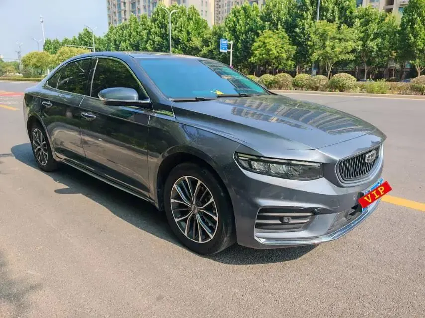 Xingrui 2021 2.0TD Luxury Model 3