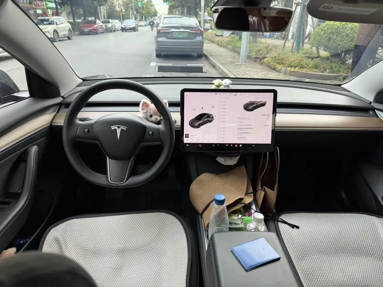 2021 Model 3 Standard Range Rear-Wheel Drive Upgrade Version 6