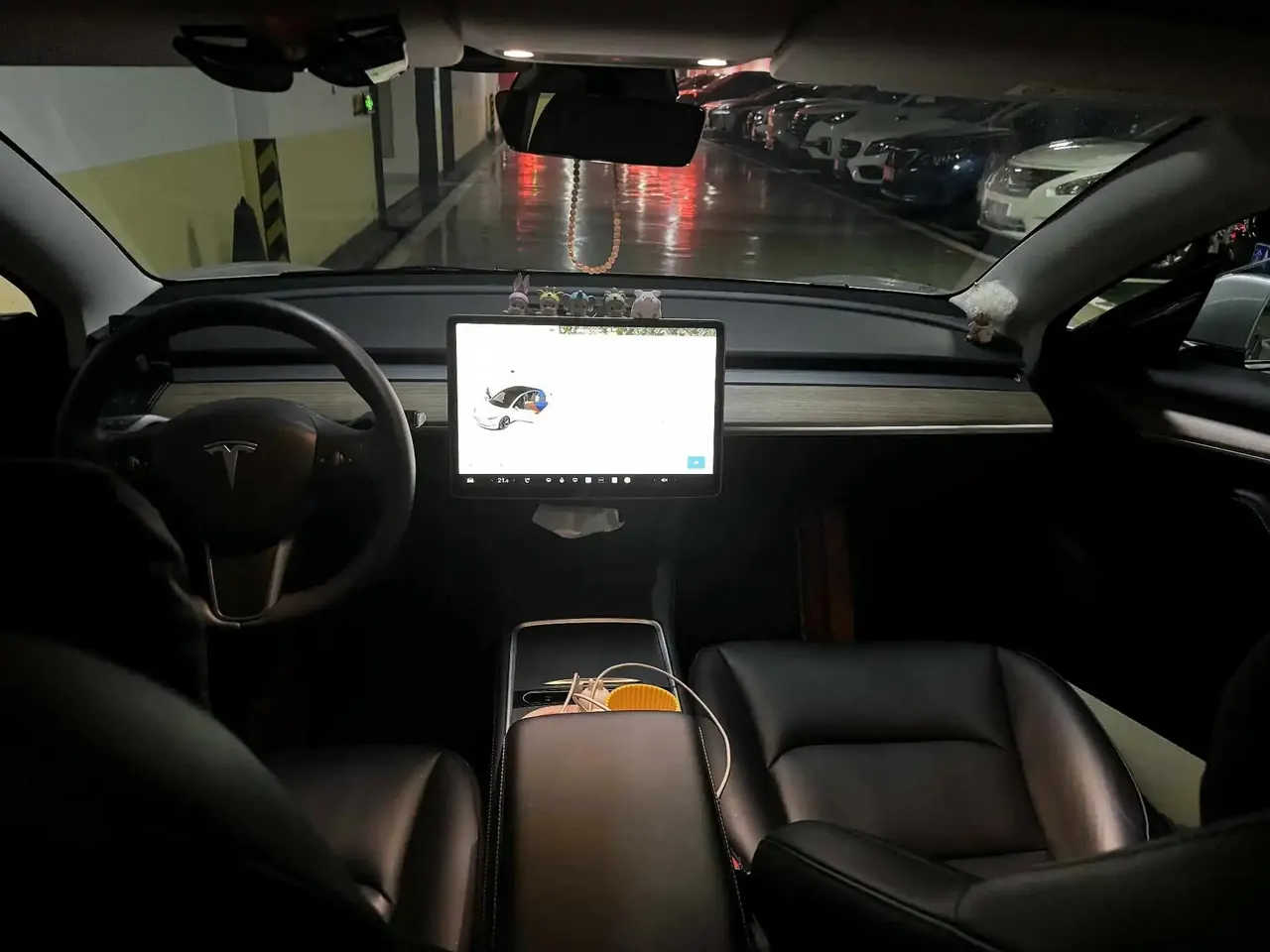 Model 3 2022 rear-wheel drive version 6