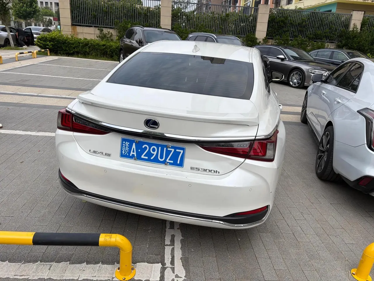 Lexus ES 2020 300h Elite Edition 5