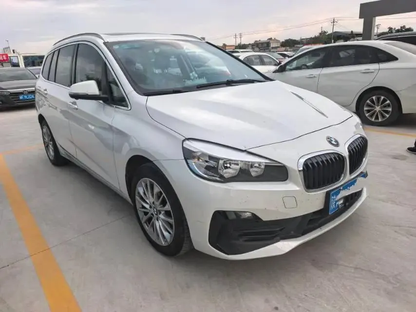 BMW 2 Series Multifunctional Station Wagon 2019 220i Leading Model 2