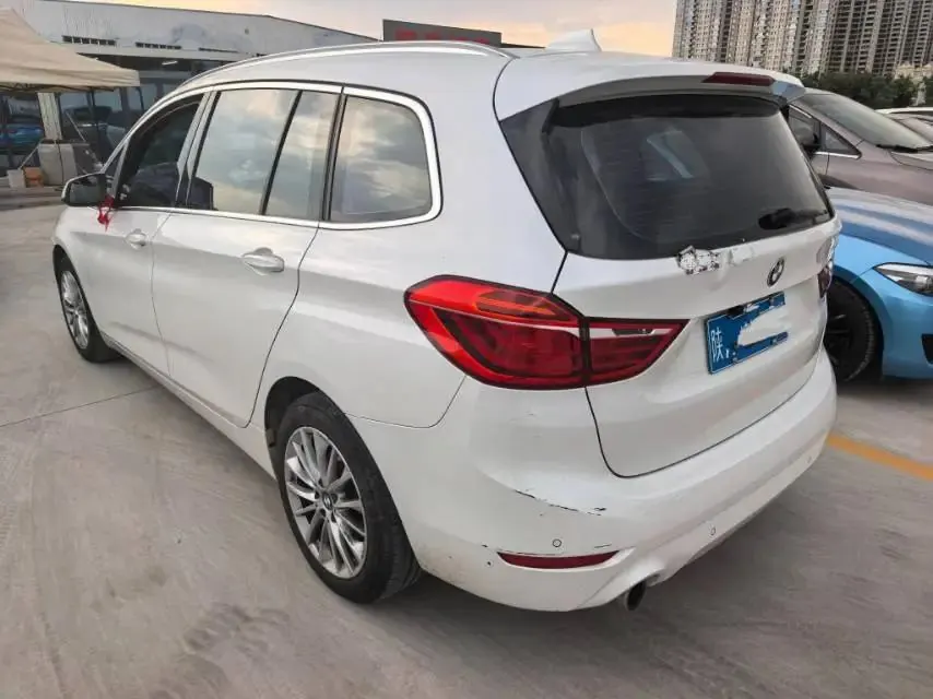 BMW 2 Series Multifunctional Station Wagon 2019 220i Leading Model 3