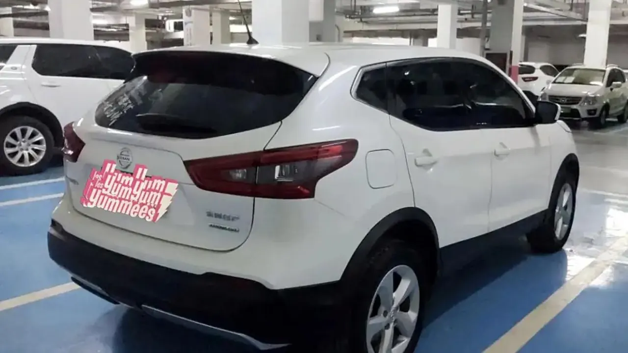 Xiao Ke 2019 2.0L CVT Smart Edition 2