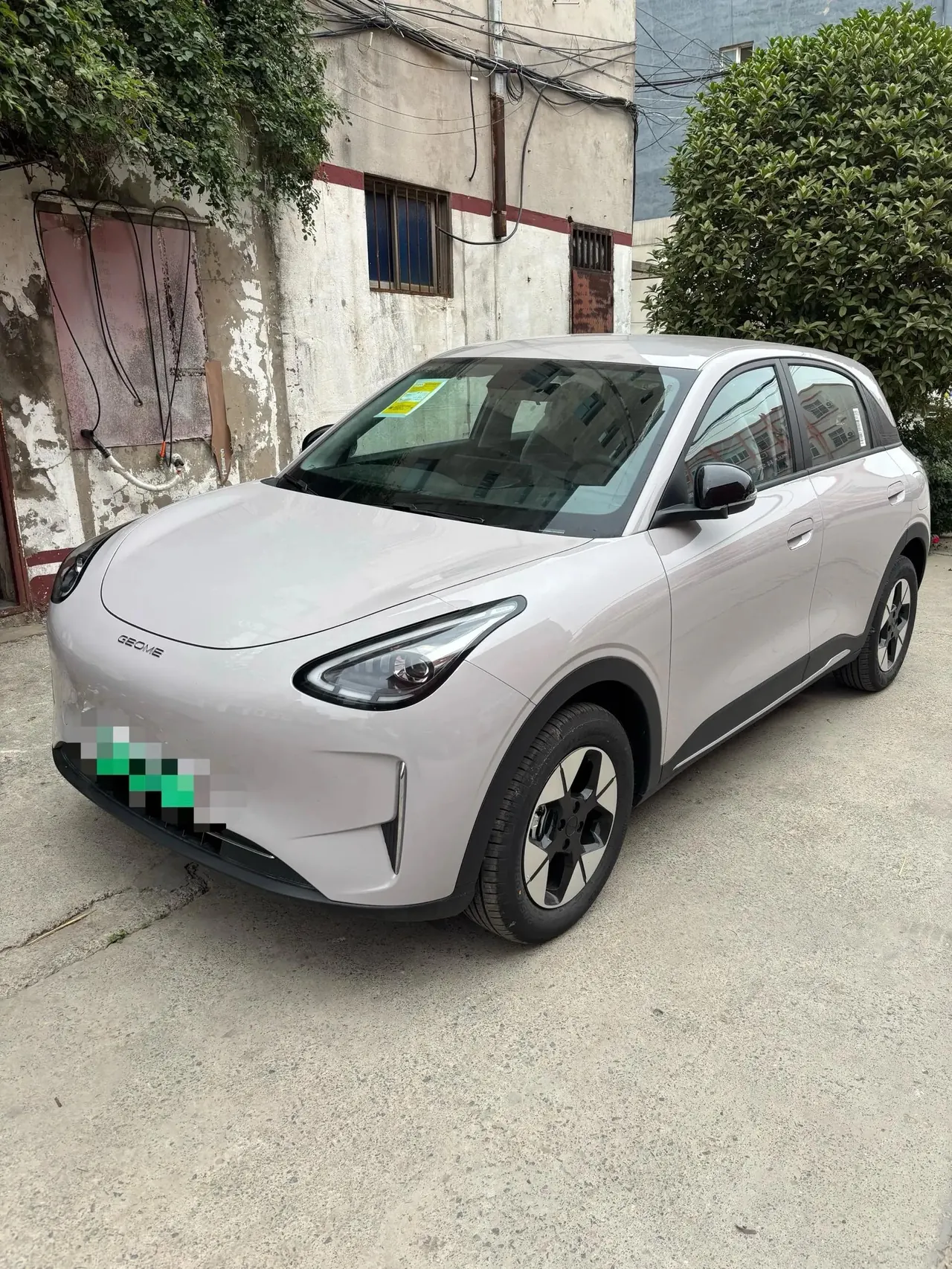 Open image lightbox: Star Wish 2026 Model 310km Dream Edition