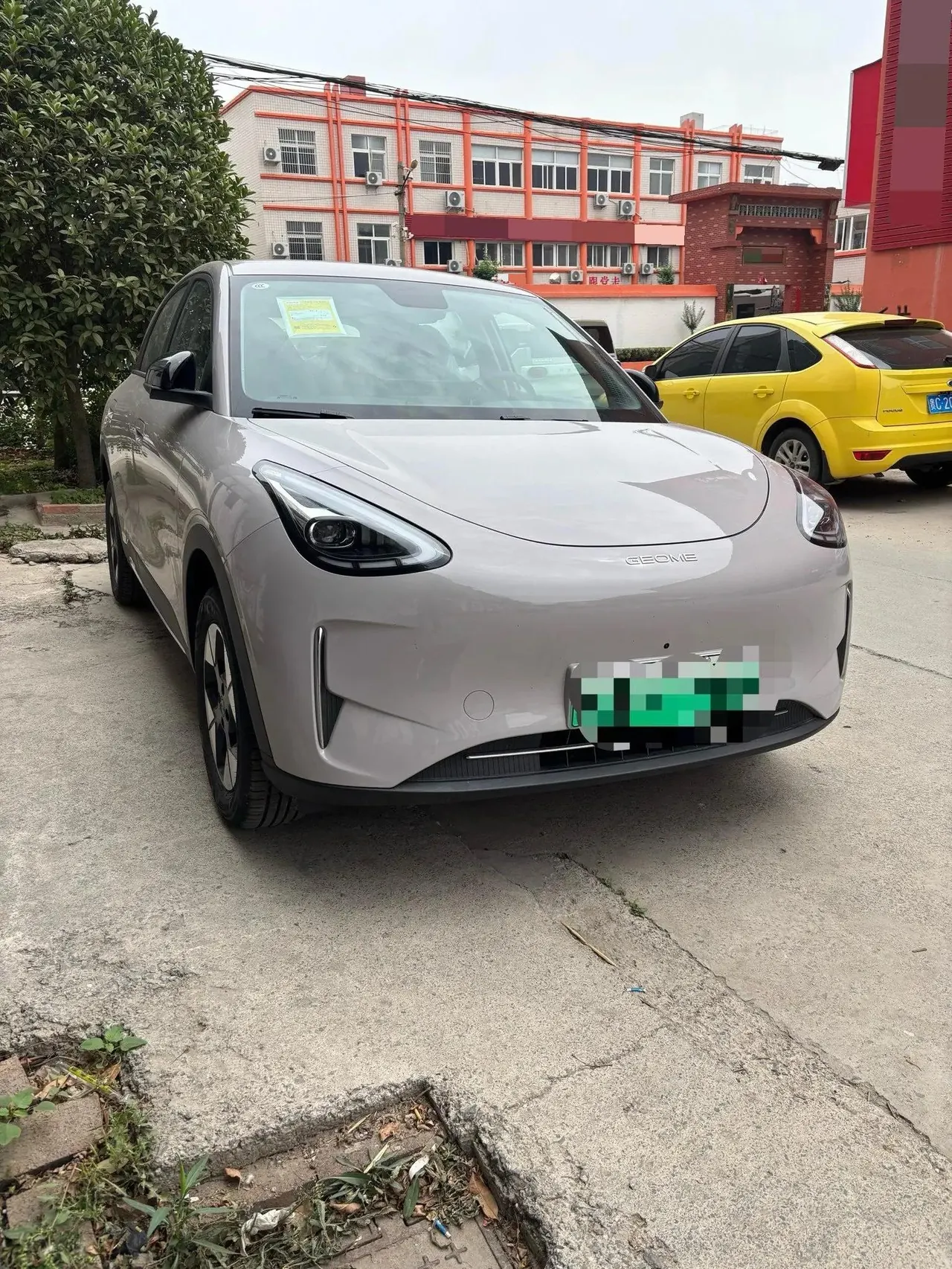 Star Wish 2026 Model 310km Dream Edition 2