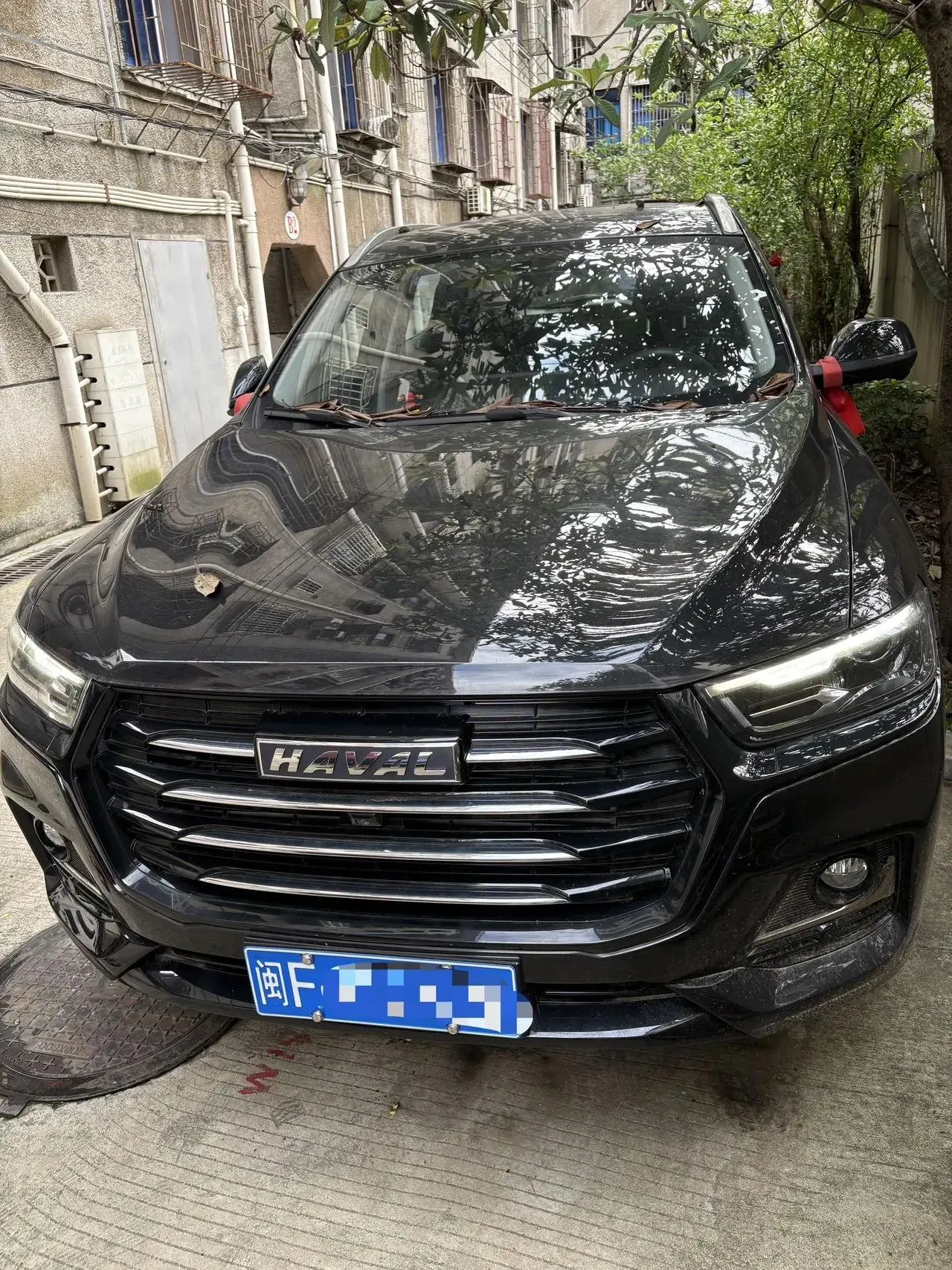 Haval 2025 H6 1.5T National Tide City Edition Automatic Gear 3