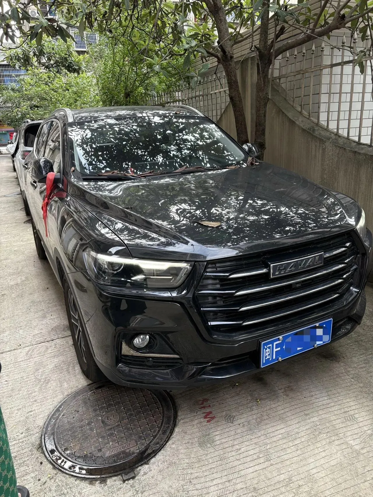 Haval 2025 H6 1.5T National Tide City Edition Automatic Gear 4