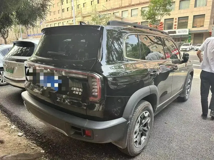 Haval 2024 big dog 2.0T Chinese garden dog version automatic gear 2