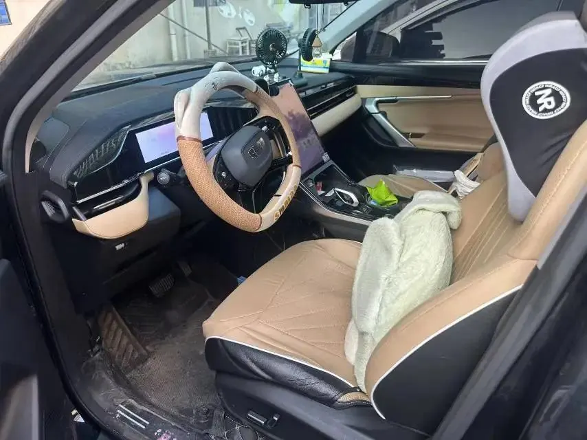 Boyue L 2024 1.5TD DCT Premium Edition 3