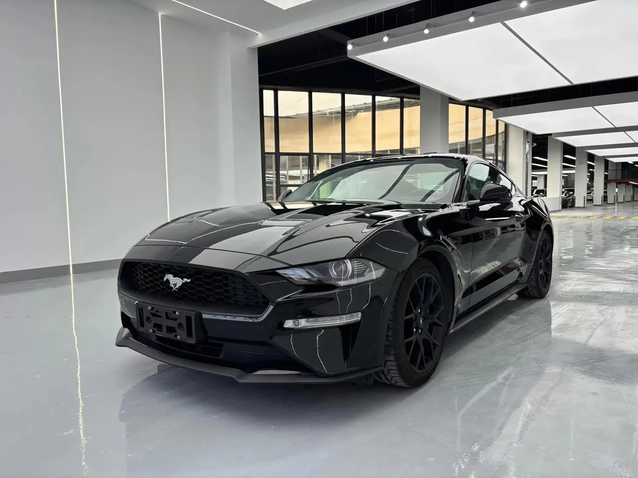 2020 Mustang 2.3L EcoBoost Performance Upgrade Edition - View 1