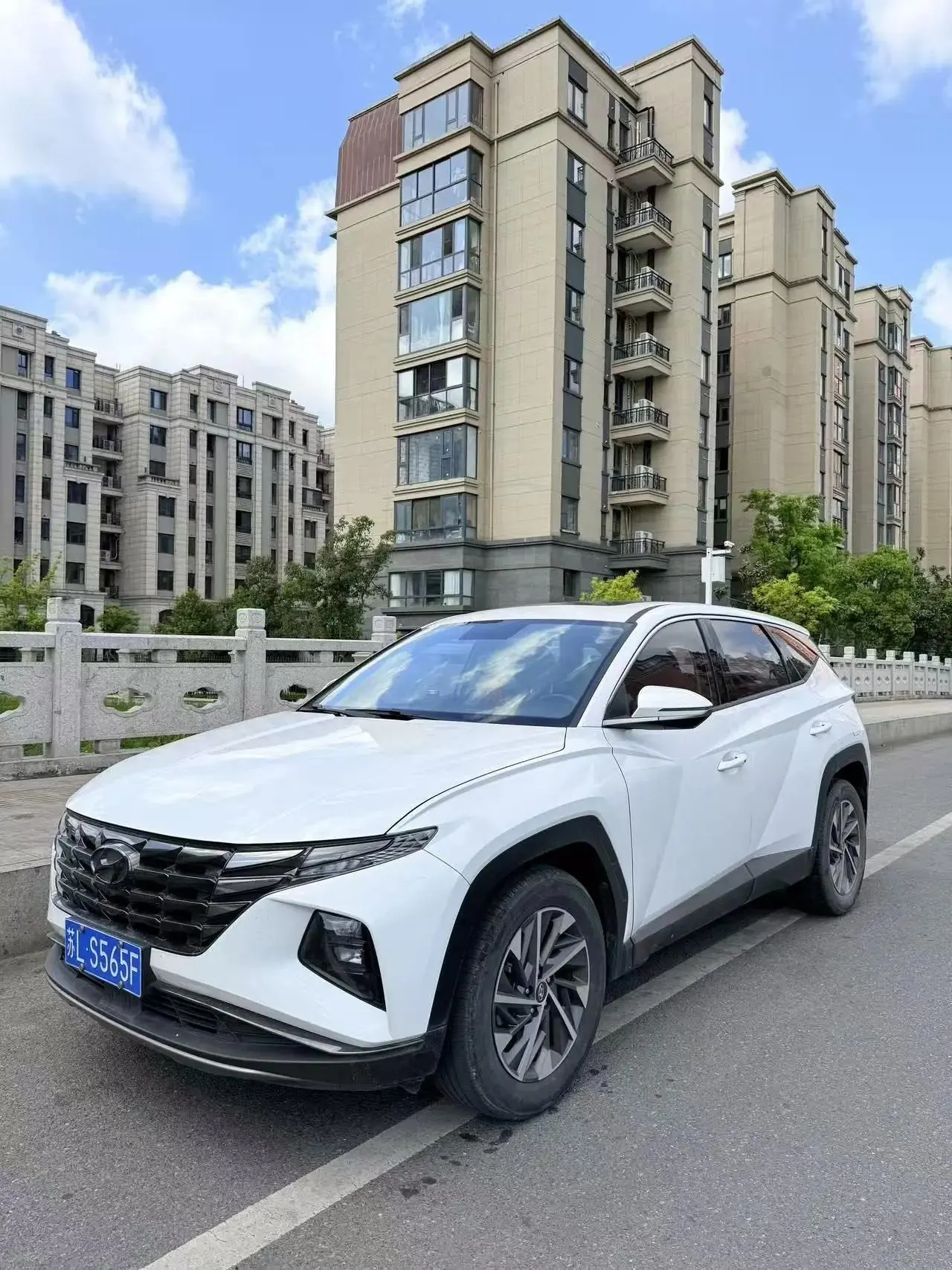 Tousheng 2021 Tousheng L 1.5T GLX Elite Edition - View 1