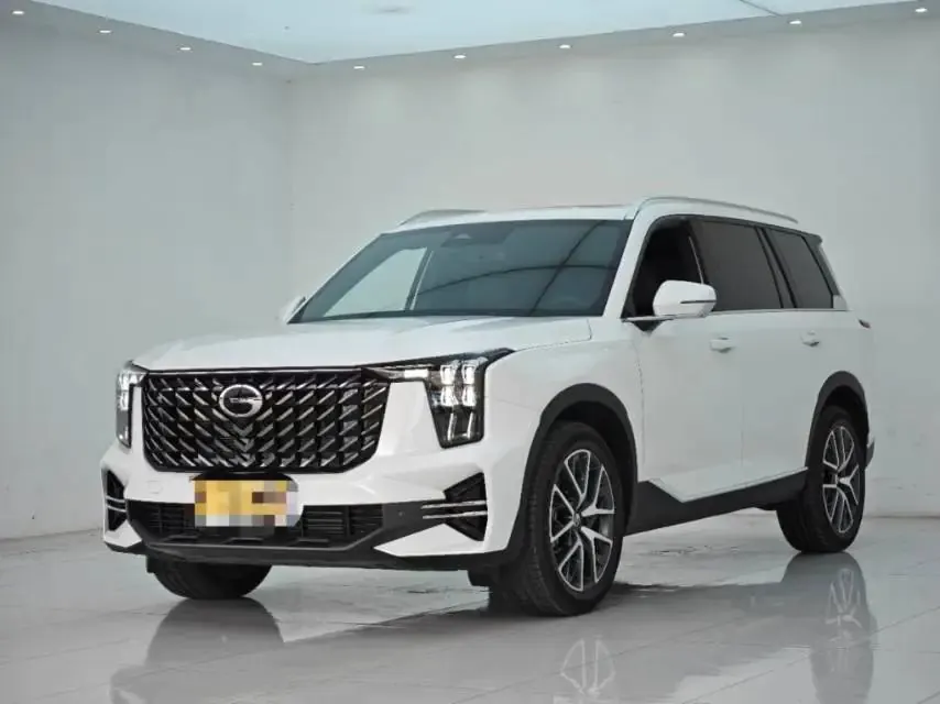 Chuanqi 2025 GS8 2.0TGDI Pilot Series Two-Drive Deluxe Edition 5-seat Automatic Gear - View 1