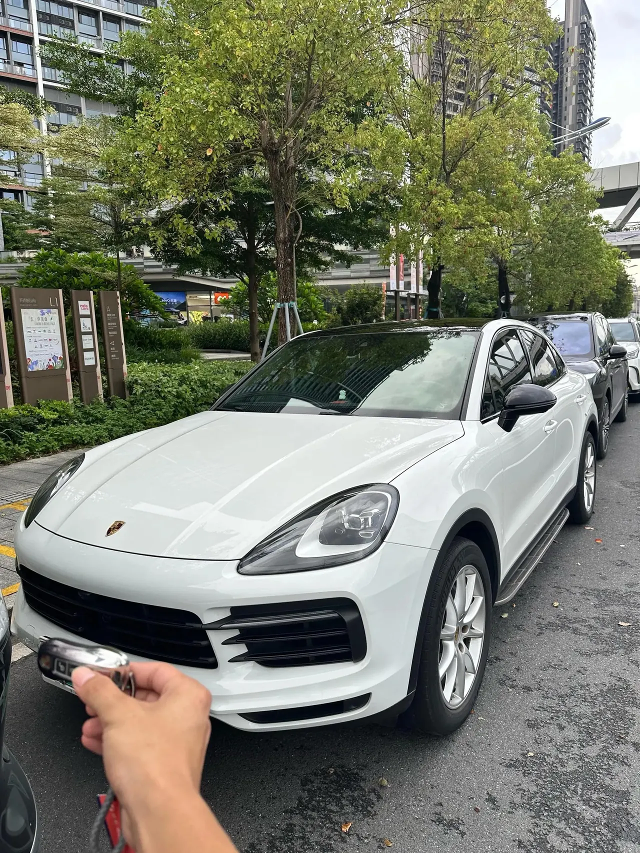 Cayenne New Energy 2020 Cayenne E-Hybrid 2.0T - View 1