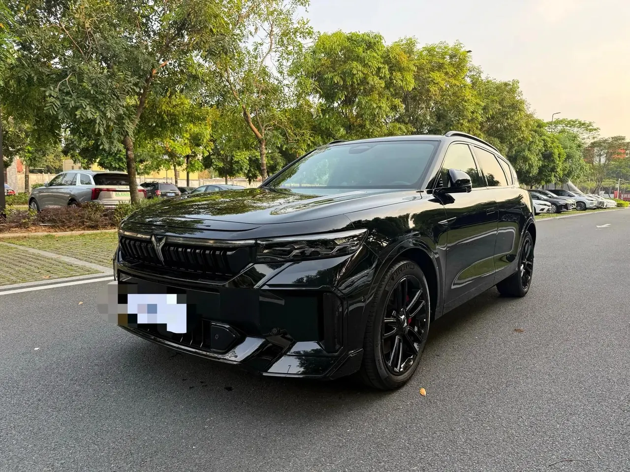 Voyah FREE 2025 318 318km Rear Drive Tour Edition - View 1