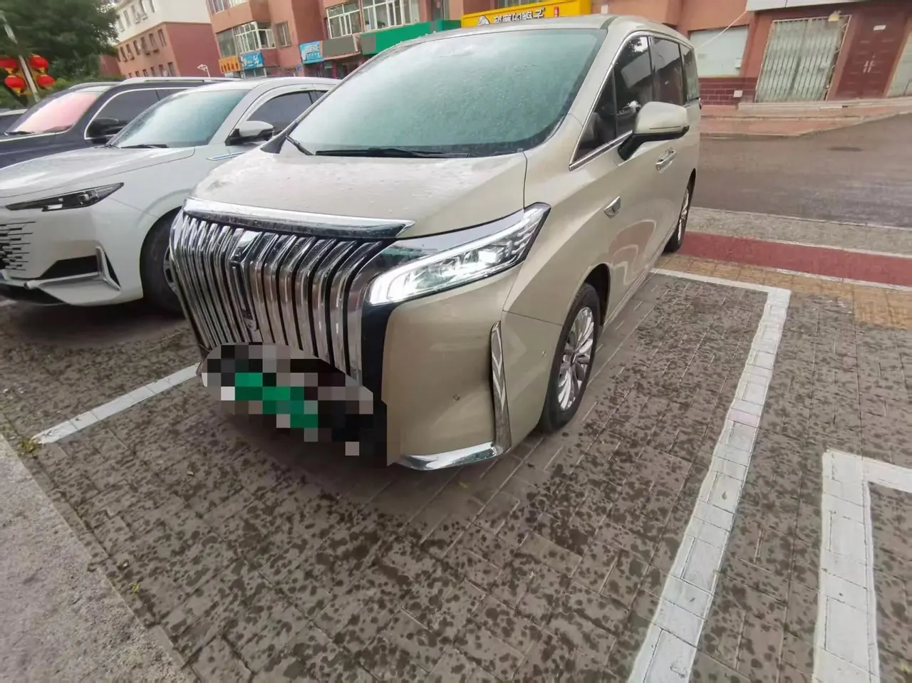 WEY Mountain 2023 Four-wheel Drive Flagship Automatic Gear - View 1