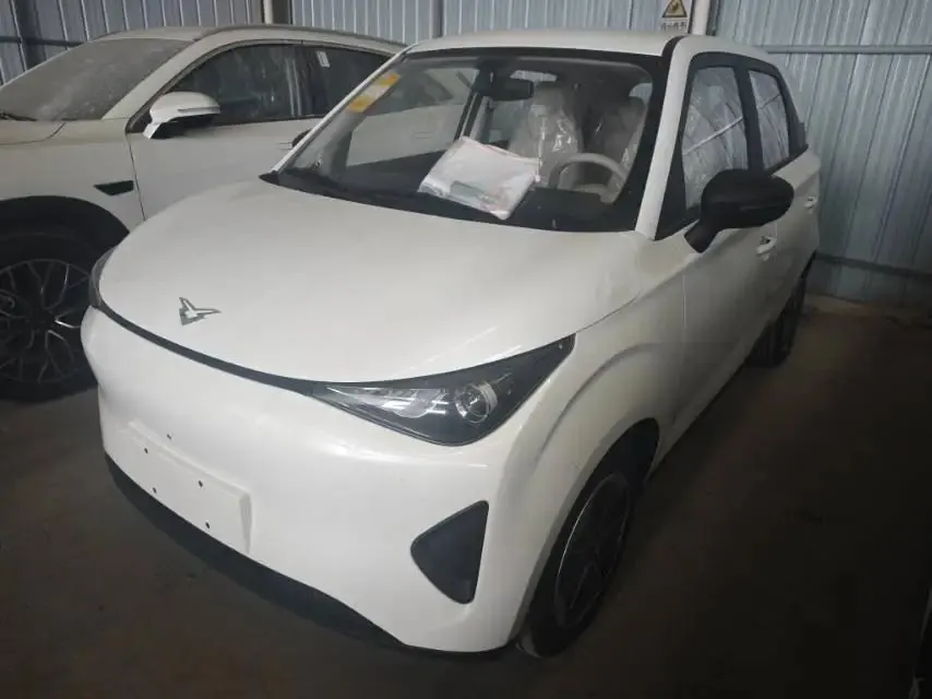 Victory Auto 2026 monthly Max 310km automatic gear - View 1
