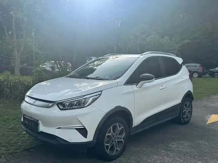 Yuan Pro 2021 401KM Honorable Model - View 1