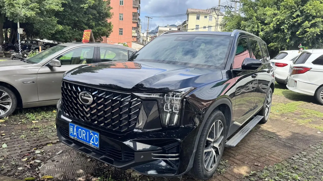 Chuanqi GS8 2022 Pilot Series 2.0TGDI Two-Drive Deluxe Zhilian Edition (Seven Seat) - View 1