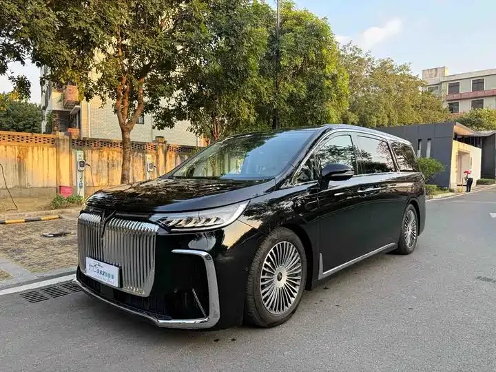 Voyah Dreamer 2025 PHEV Four-wheel Drive Distinguished Kunpeng Edition - View 1