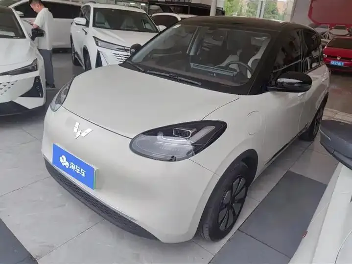 WuLing Plantronics 2024 333km Pleasant - View 1