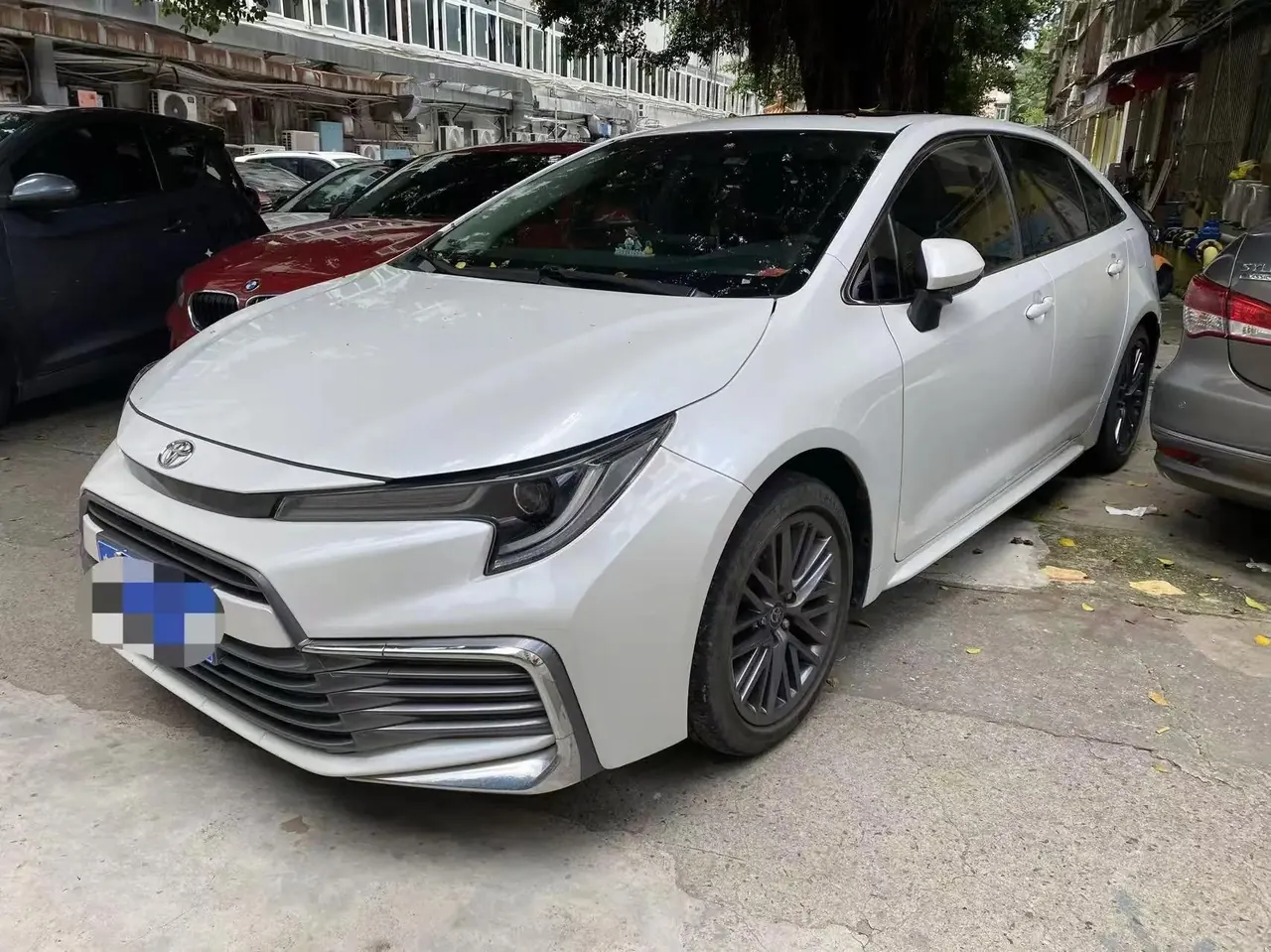 Ling Shang 2021 2.0L Deluxe Edition - View 1