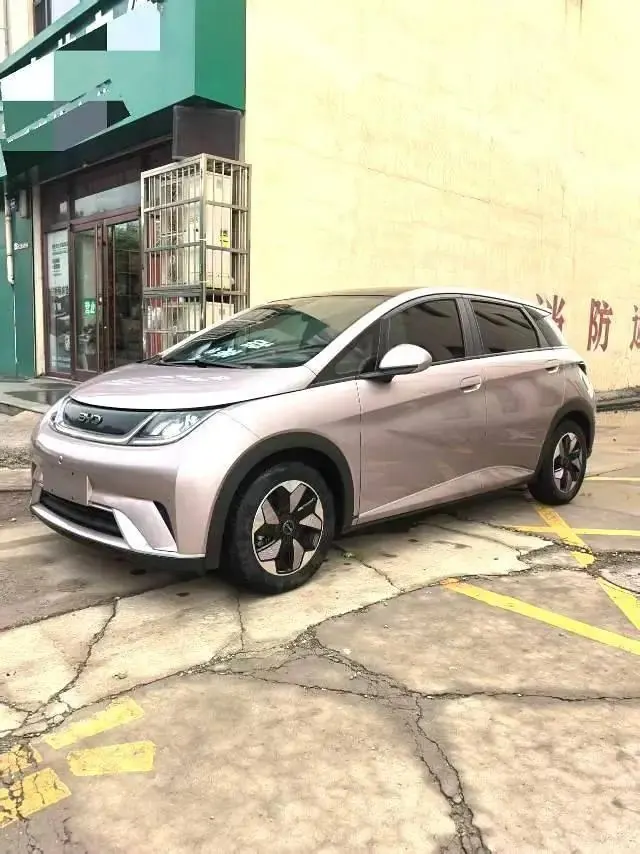 BYD 2023 Dolphin 420km Fashion Edition Automatic - View 1