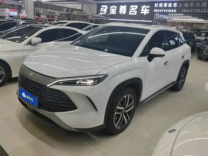 Song L DM-i 2024 112km Exceed - View 1