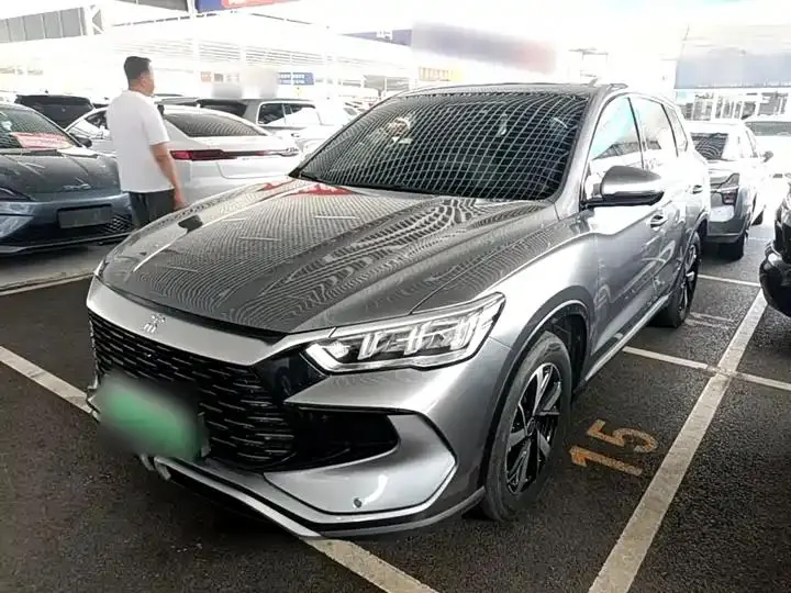 Song Pro New Energy 2024 Glory Edition DM-i 110KM Exceed - View 1