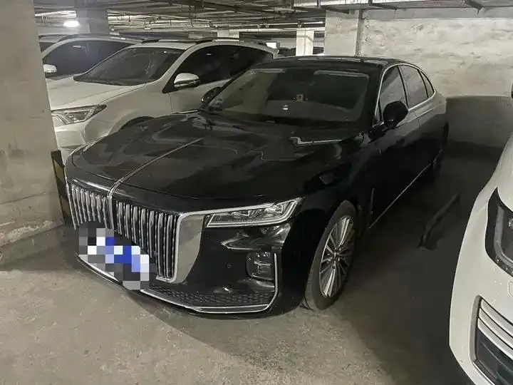 HongQi H9 2020 model 2.0T Intelligent Connected Flag Enjoyment Edition - View 1