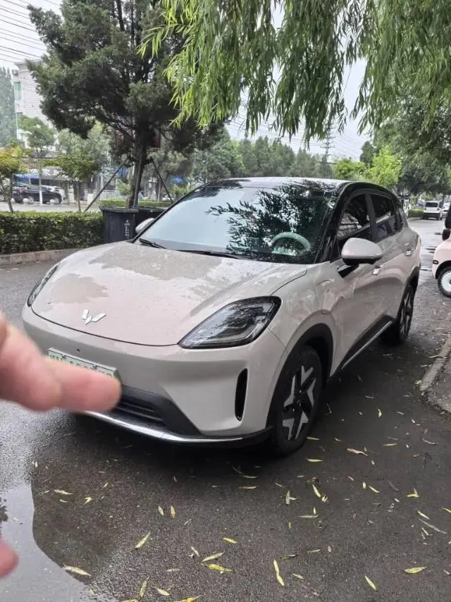 WuLing 2026 Plantronics S 525km Flagship Automatic Gear - View 1
