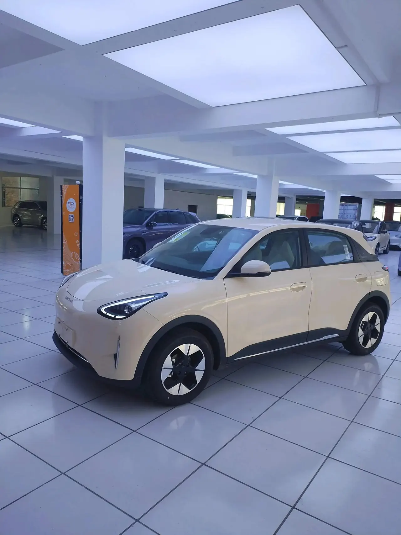 Star Wish 2026 Model 310km Dream Edition - View 1