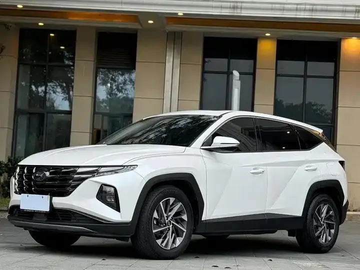 Tousheng 2021 Tousheng L 1.5T DCT LUX Premium Edition - View 1