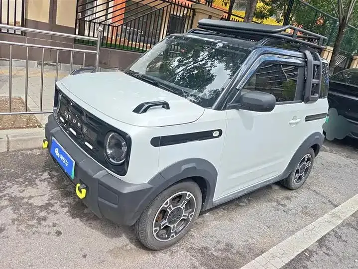 Panda 2025 Model 210km Panda Rider - View 1